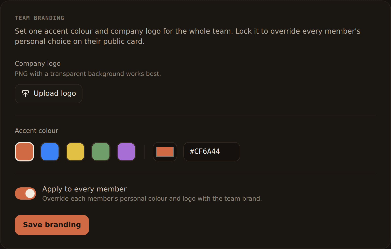 The team branding controls
